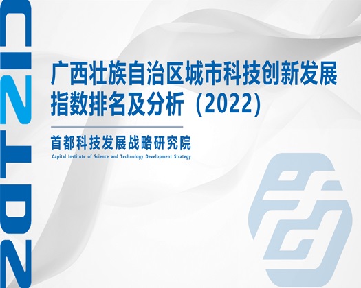 黑吊干骚B【成果发布】广西壮族自治区城市科技创新发展指数排名及分析（2022）